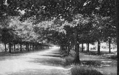 A G�d�ll�i Erzs�bet-park, 1930-as �vek. K�peslap, mag�ntulajdon