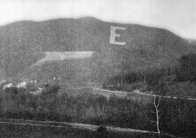Selmecb�nyai erd� az Erzs�betre utal� E bet�t form�z� �ltetv�nnyel, 1899, Erd�szeti lapok
