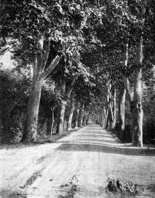 A kom�romi Erzs�bet-sziget. Vas�rnapi Ujs�g, 1910. janu�r 2.