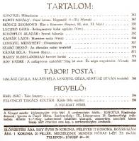 tartalom