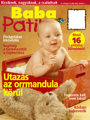 A h�l�zatos verzi� megnyit�sa Open the online version