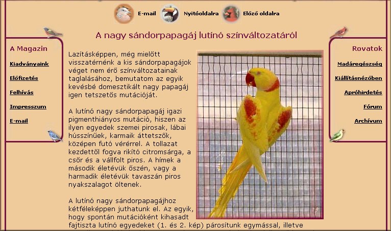D�szmad�r Magazin 2004.06.30.