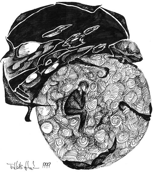 Grafika &copy; Tak�cs Bogl�rka [Prezzey]