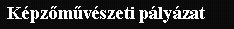 K�pz�m�v�szeti p�ly�zat