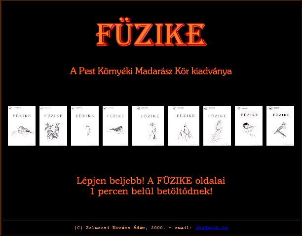 F�zike 2004.11.02.