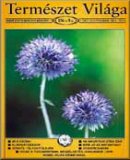 A h�l�zatos verzi� megnyit�sa Open the online version