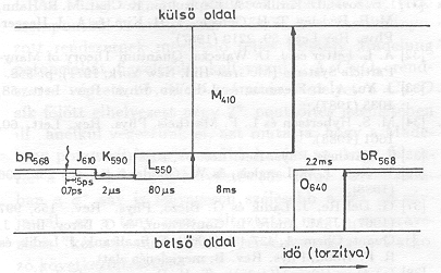 1. �bra