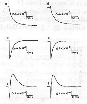 9. �bra