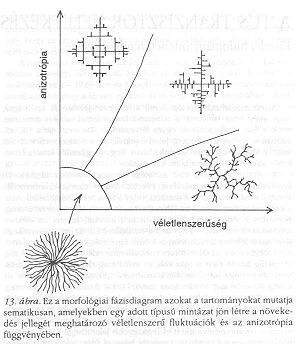 13. �bra
