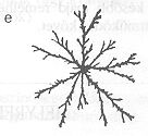 1e.�bra