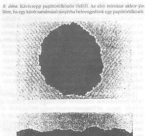 8. �bra