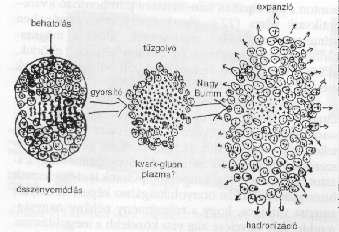 13.
&aacute;bra