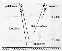 5. &aacute;bra