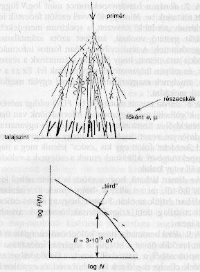 7. &aacute;bra