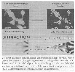 24. �bra
