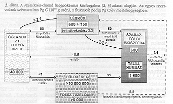 2. �bra