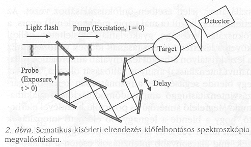 2. �bra