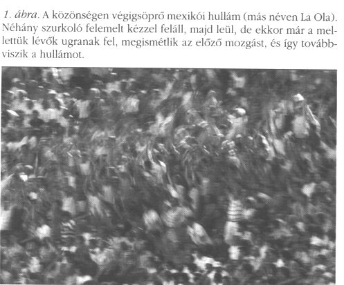 1. �bra