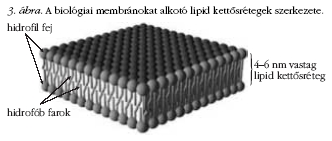 3. �bra