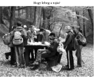 Hogy lebeg a tojás?