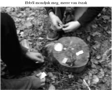 Ebb�l mondjuk meg, merre van �szak