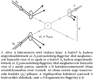 6. �bra