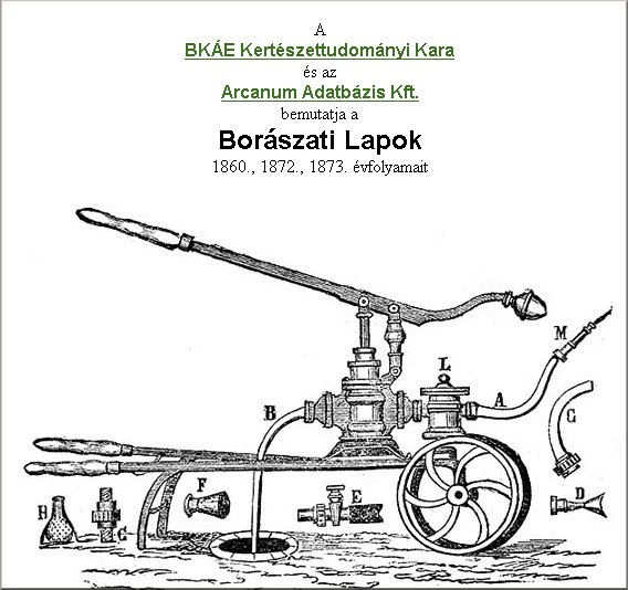 Bor�szati Lapok 2005.01.13.