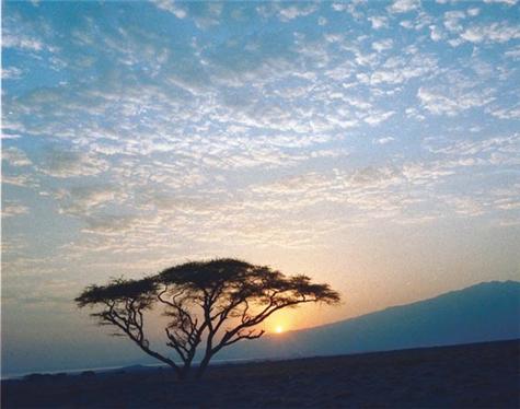 Africa-Tanzania-3