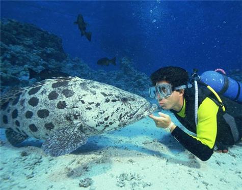 Great Barrier Reef-4