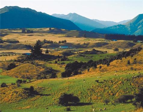 NewZealand-4