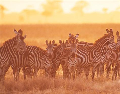 Africa-Tanzania-2