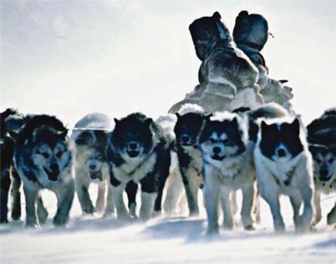 Americas-Antarctica-1