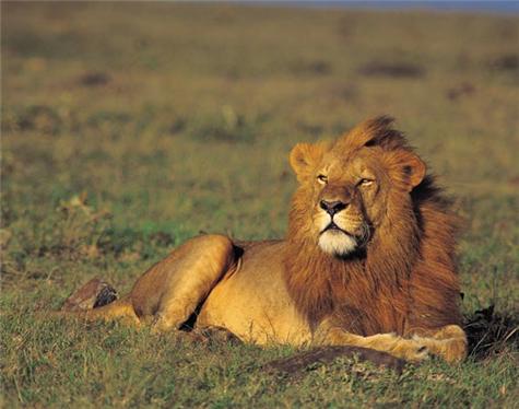 Africa-Botswana-3