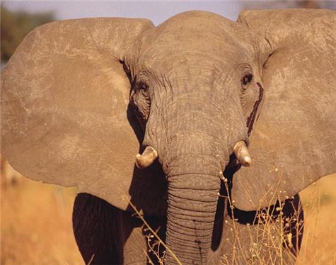 Africa-Tanzania-4