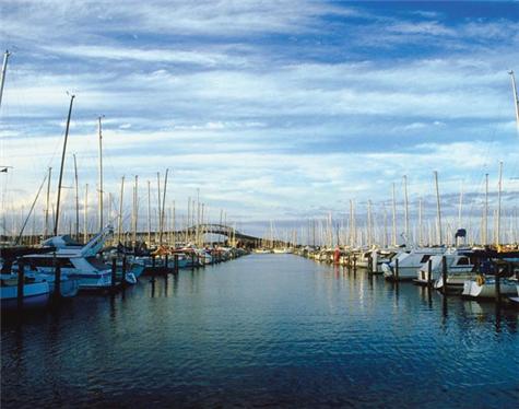 Auckland-5
