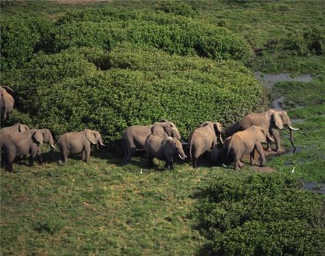 Africa-Botswana-4