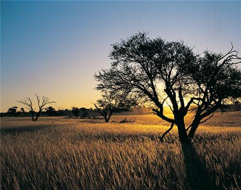 Africa-CapeTown-3