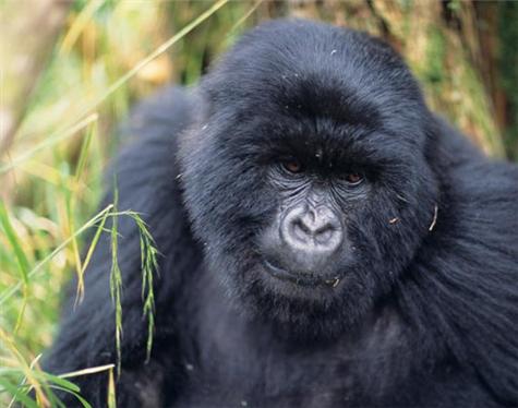Africa-Rwanda-1