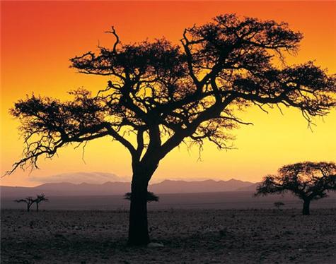 Africa-Namibia-3