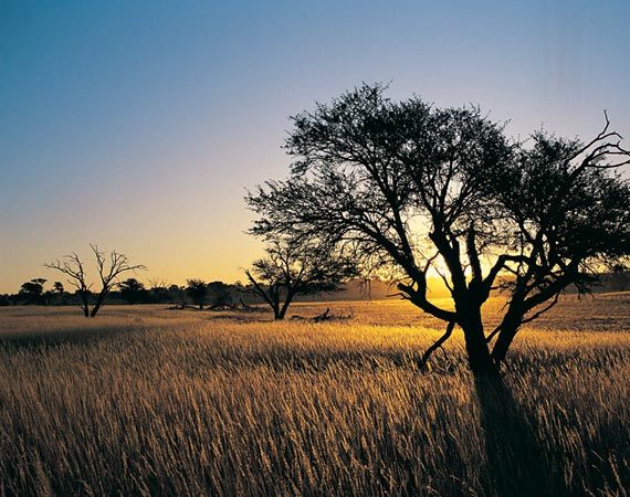 topTours_Africa
