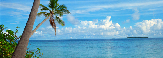 Destination South Pacific Large