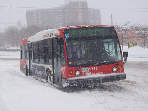 Strikes in Budapest and Ottawa cause travel chaos OC Transpo bus