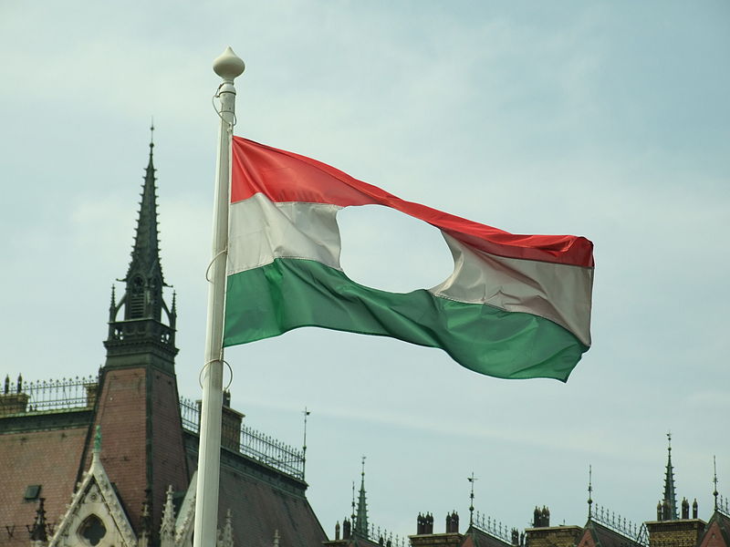 1956 – a kulisszák mögött