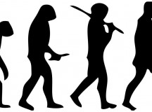 Evolúció