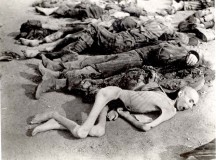 collections.yadvashem.org