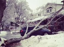 Toronto - 2013. december 22-én (Fotó: Instagram / joannabananaface )