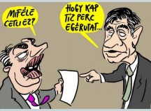 Csak egy fecni…