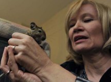 Laureen Harper / PNG Merlin Archive