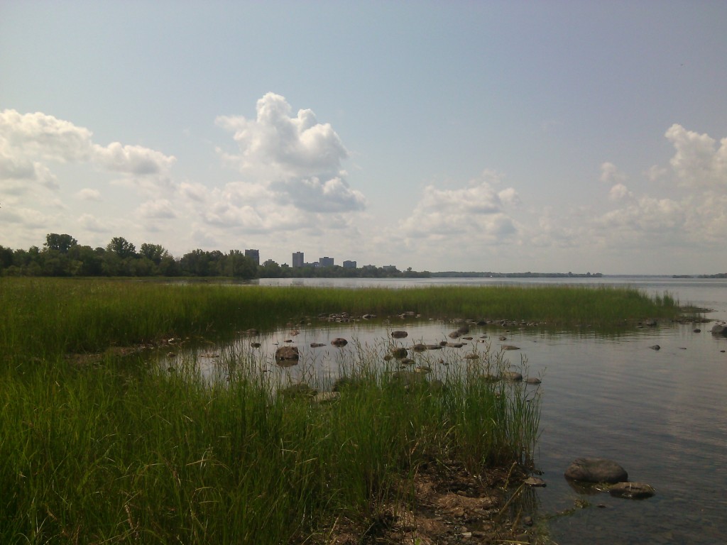 Védett zöld területek veszik körül a Westboro Beach-et. Fotó: C.A.