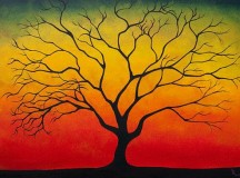 Silence in the Serengeti / Rob Cropper.